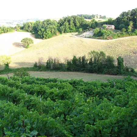 Agriturismo Bacchiocchi Frühstückspension
